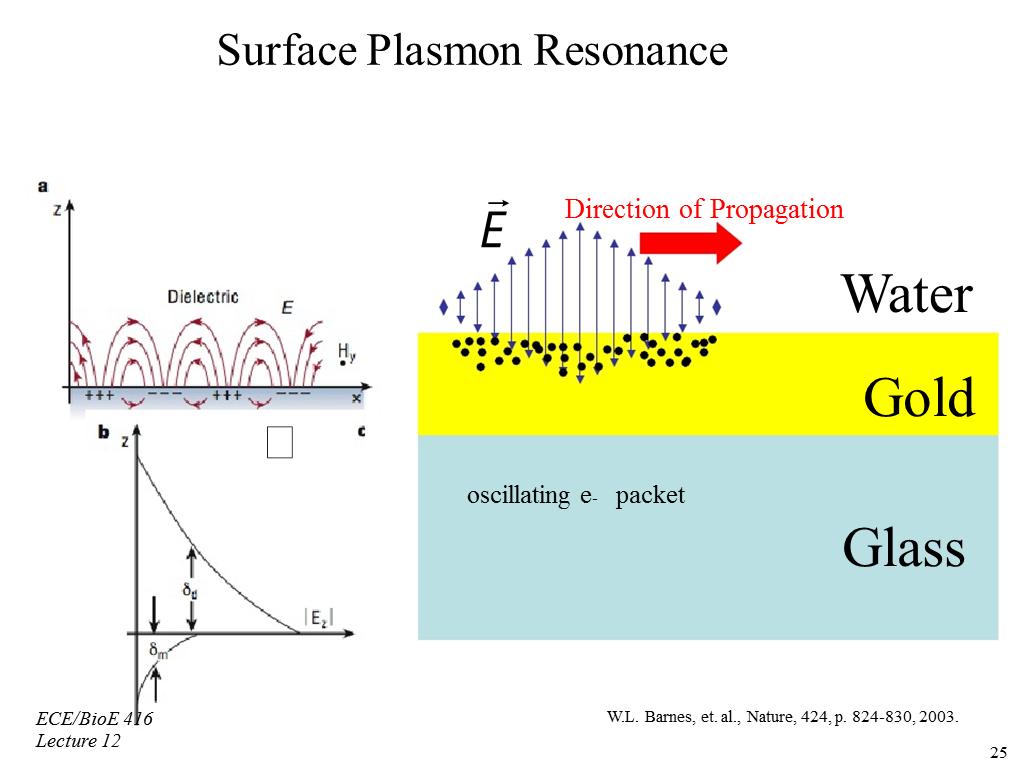 Surface Plasmon Resonance