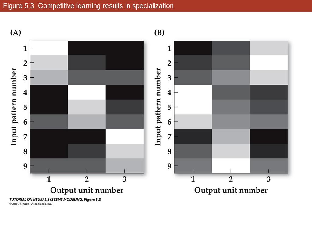 Figure 5.3 Competitive learning results in specialization