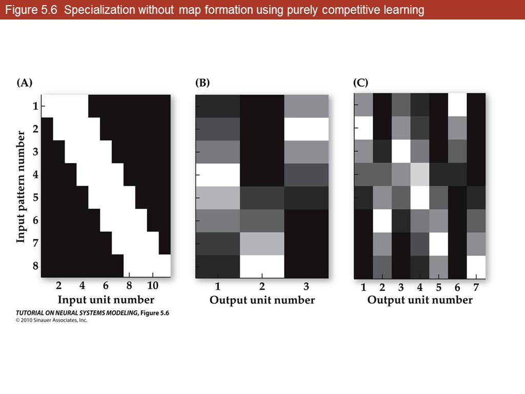 Figure 5.6 Specialization without map formation using purely competitive learning