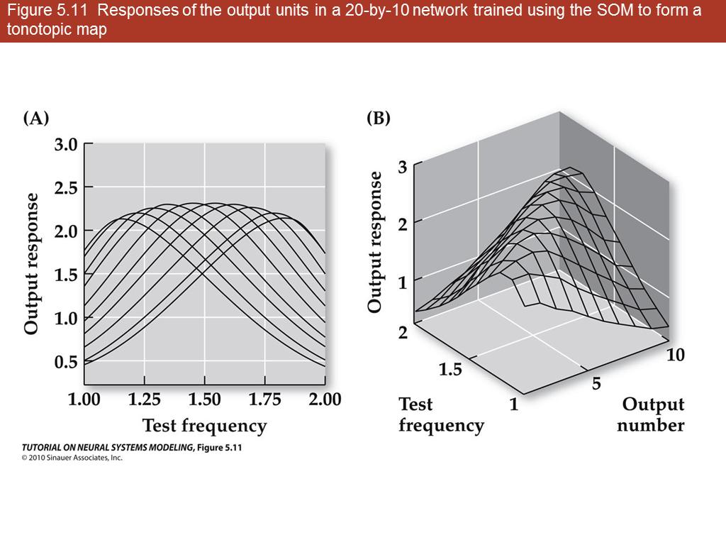 Figure 5.11 Responses of the output units in a 20-by-10 network trained using the SOM to form a tonotopic map