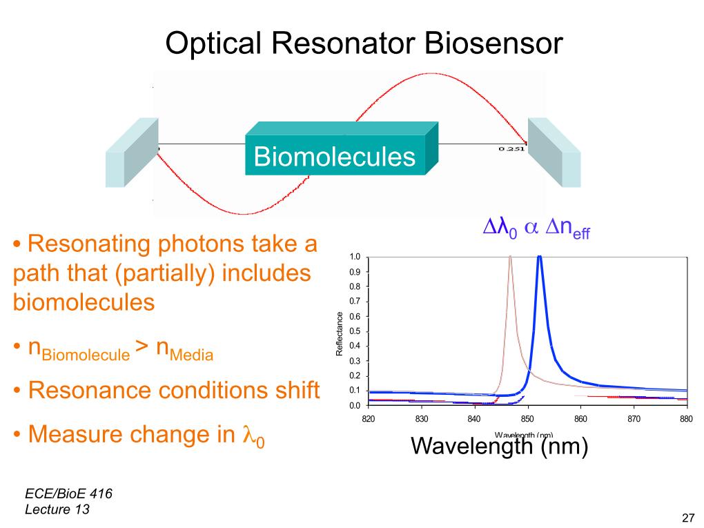 Optical Resonator Biosensor Biomolecules
