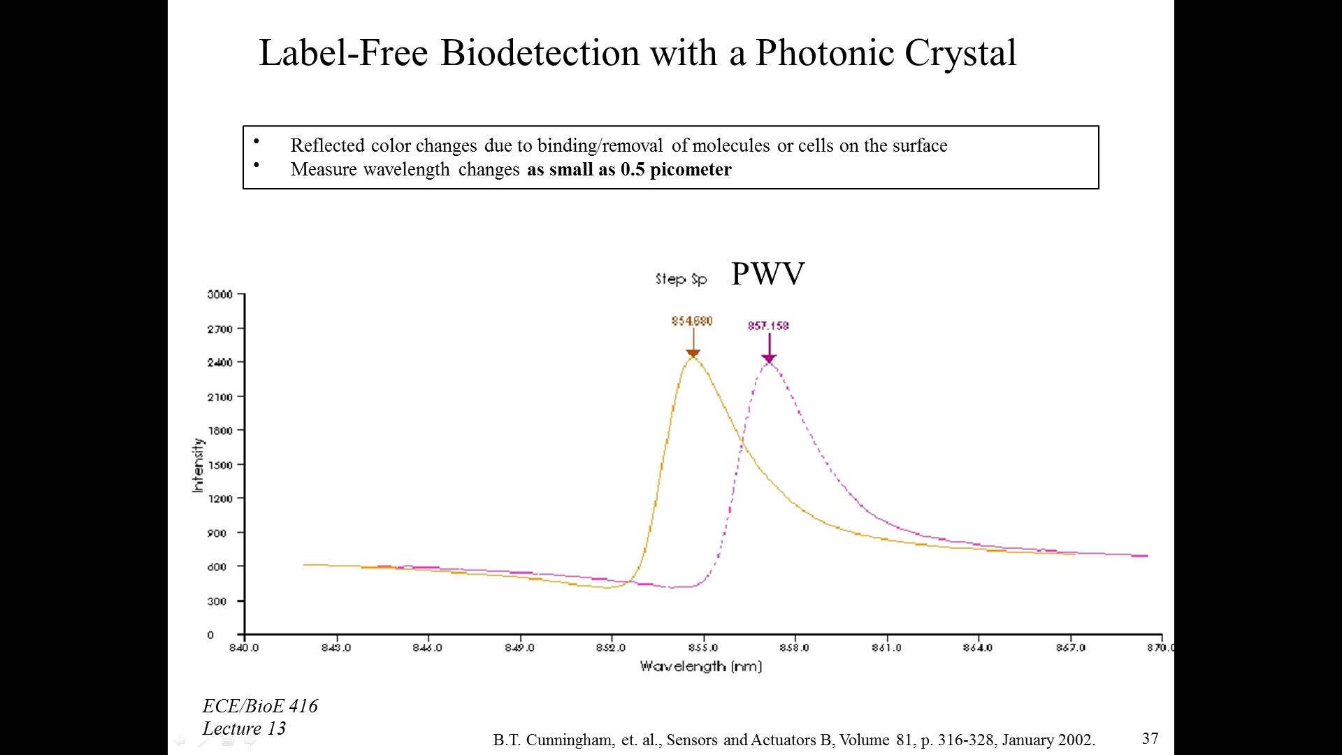Label-Free Biodetection with a Photonic Crystal