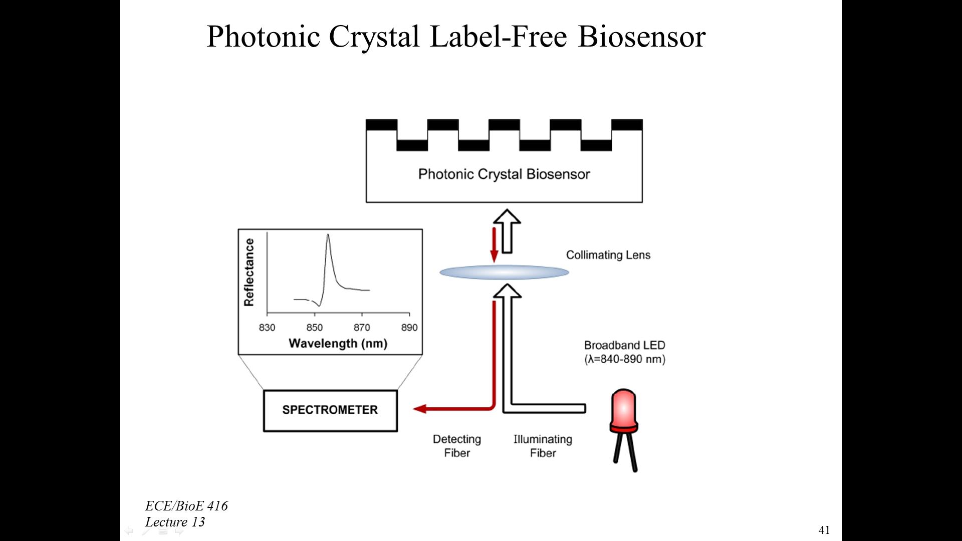 Photonic Crystal Label-Free Biosensor
