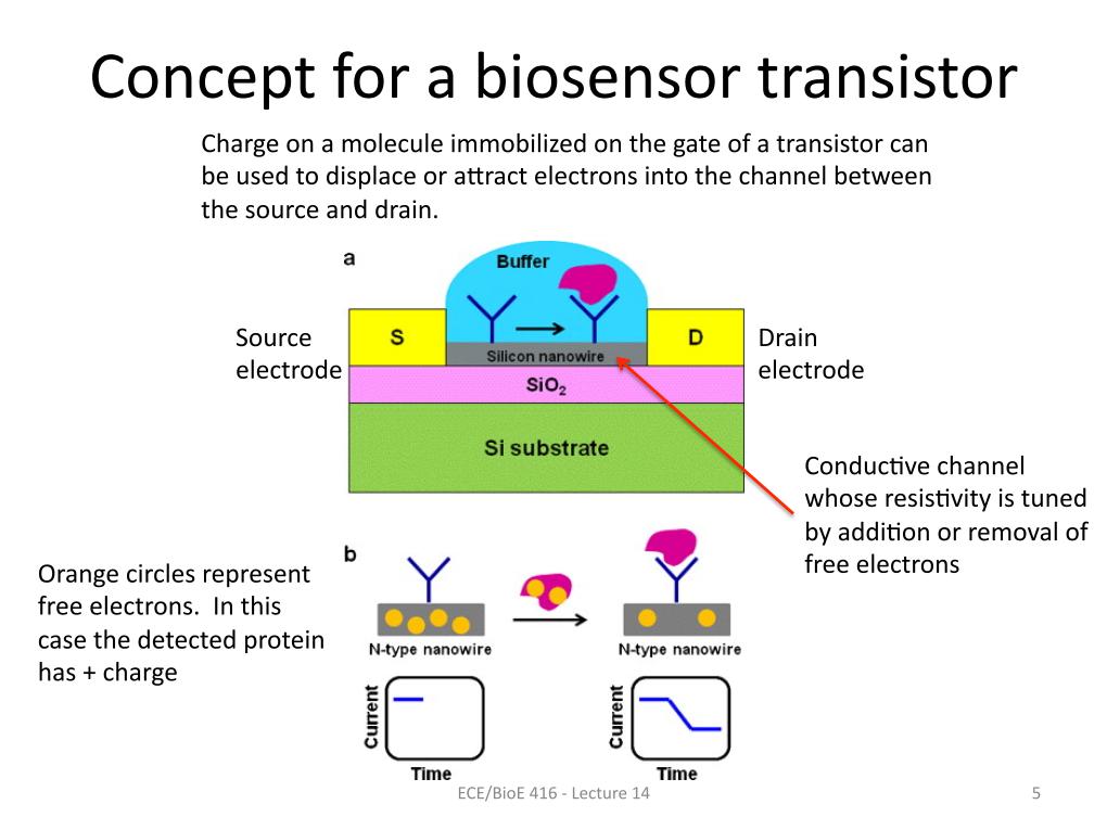 Concept for a Biosensor transistor
