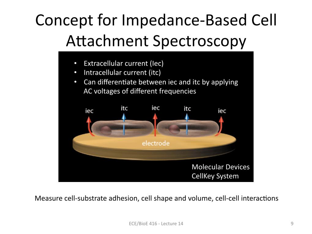 Concept for Impedance-Based Cell Attachment Spectroscopy