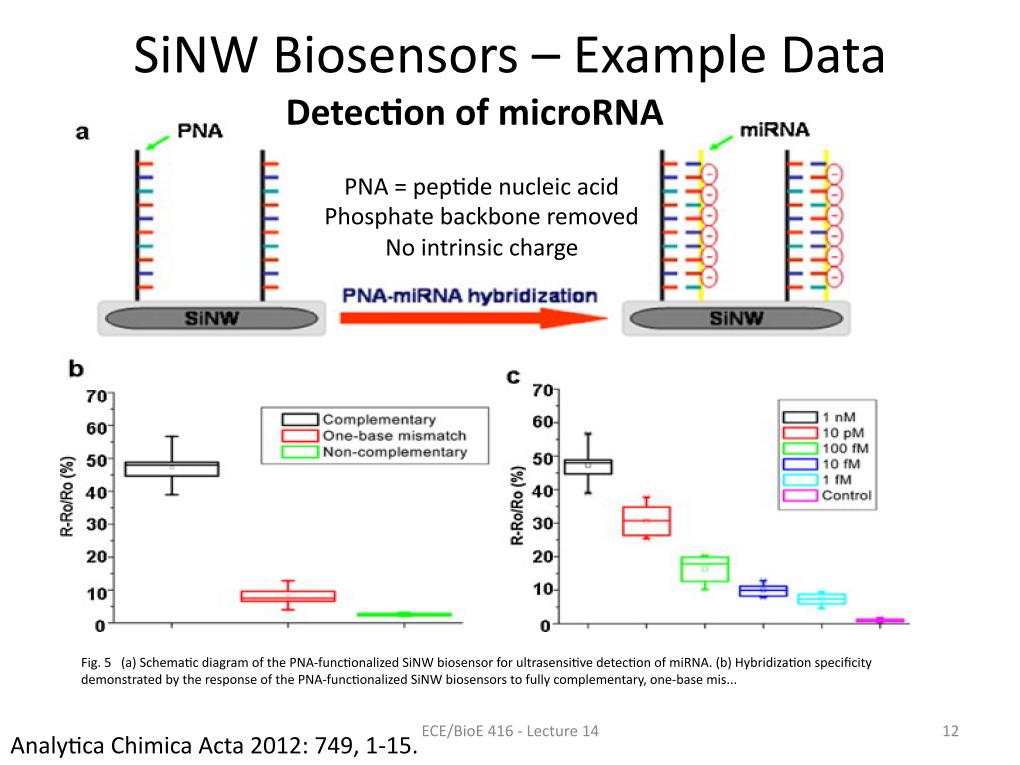 SiNW Biosensors