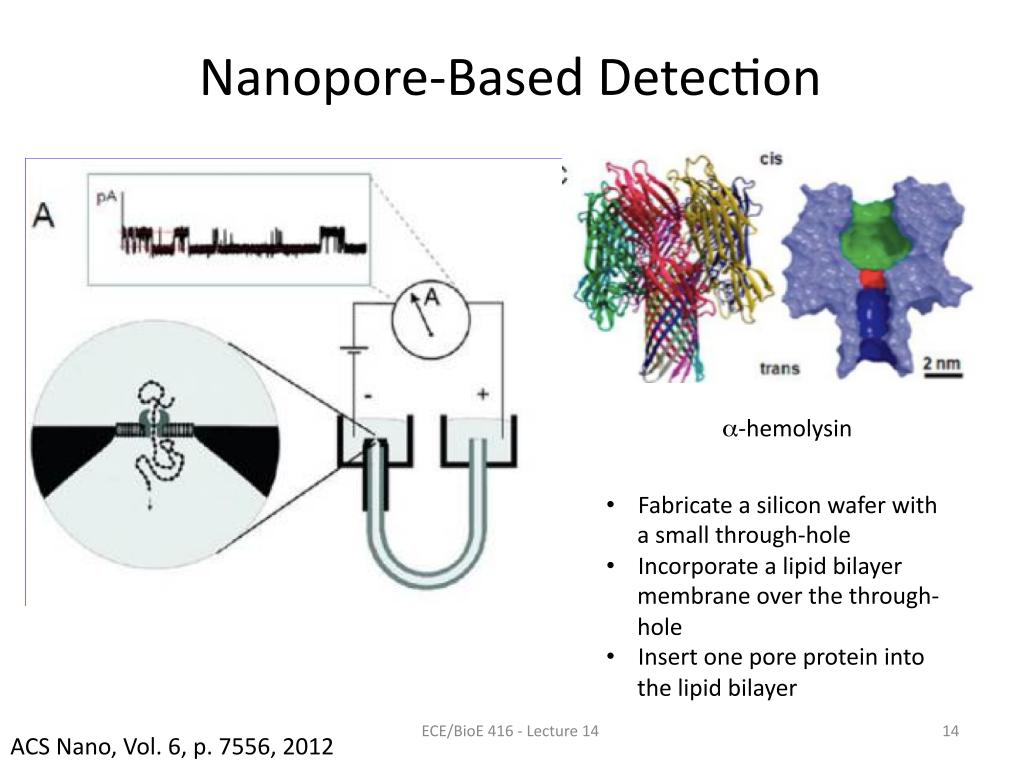 Nanopore Based Detection