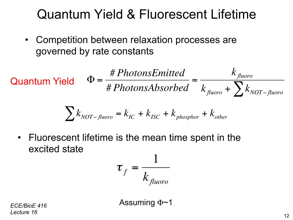 Quantum Yield & Fluorescent Lifetime