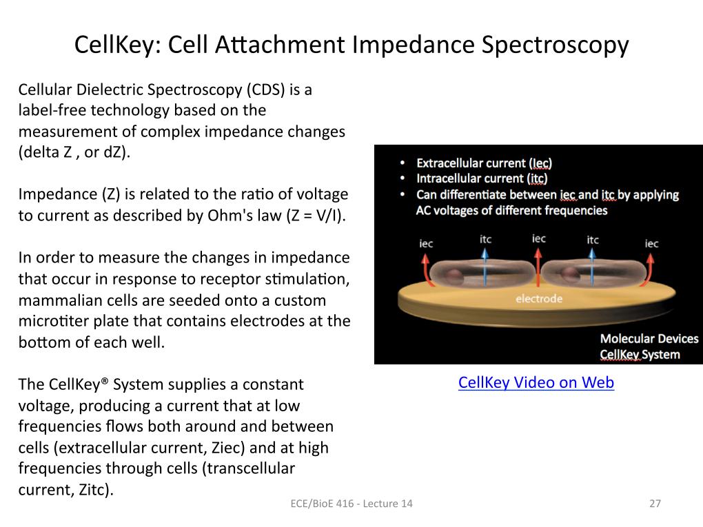 CellKey: Cell Attachment Impedance  Spectroscopy