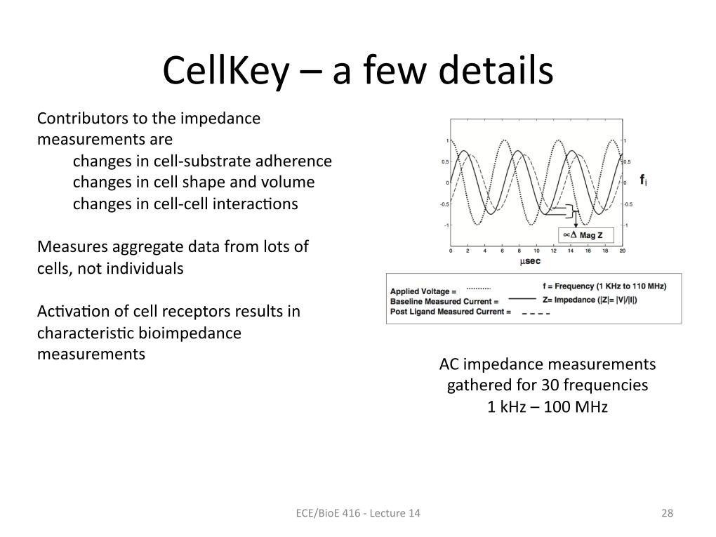 CellKey - a few details