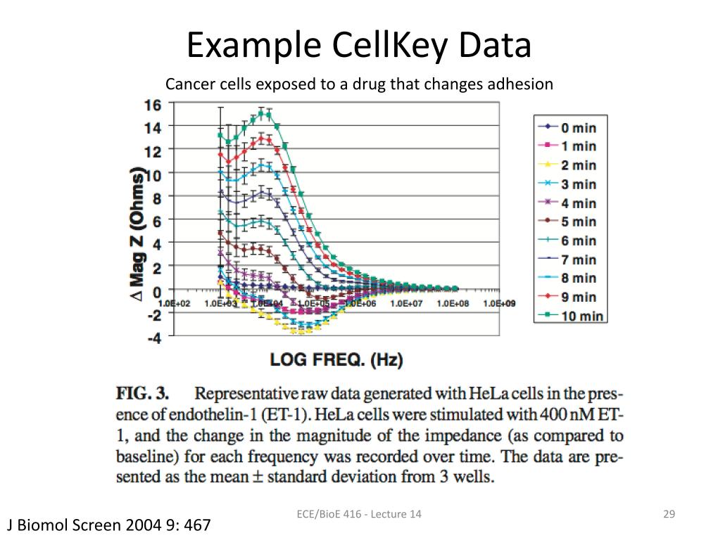 Example CellKey Data
