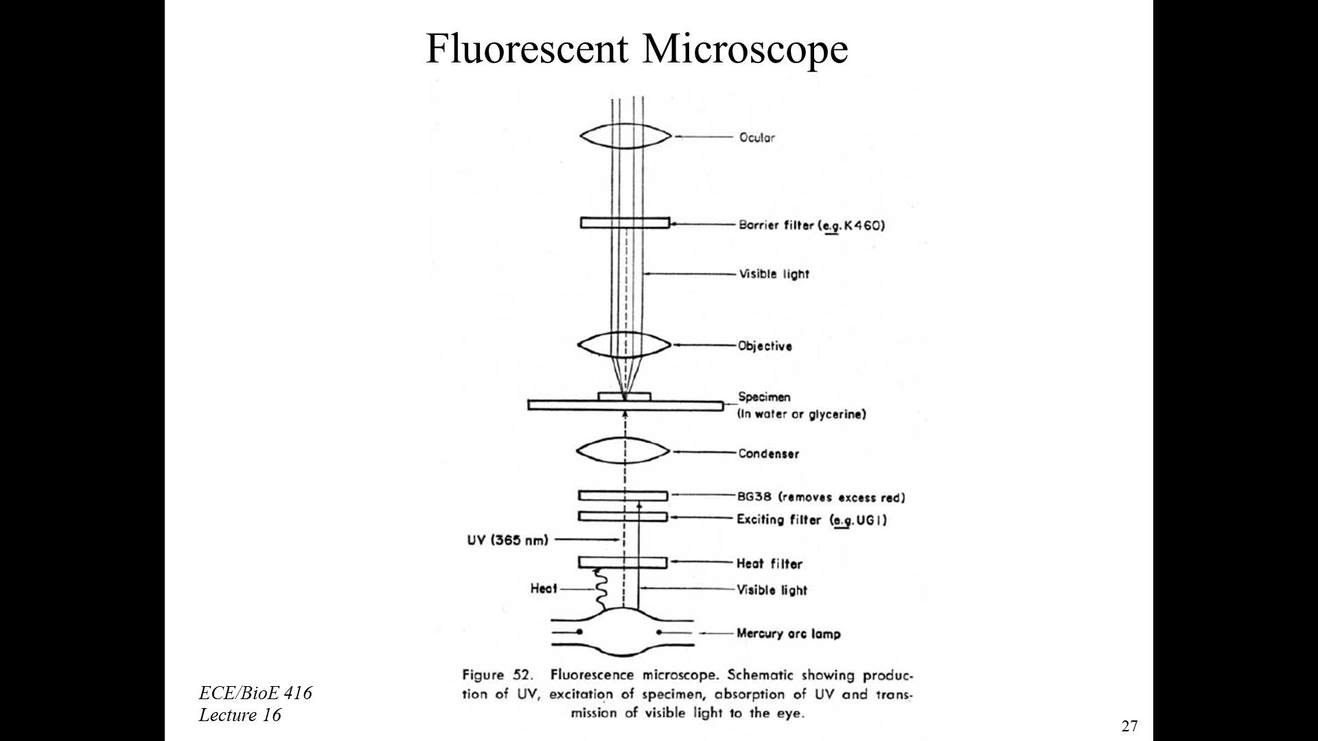  Resources: [Illinois] ECE 416 Fluorescence III and  Homogeneous Assays I: Watch Presentation