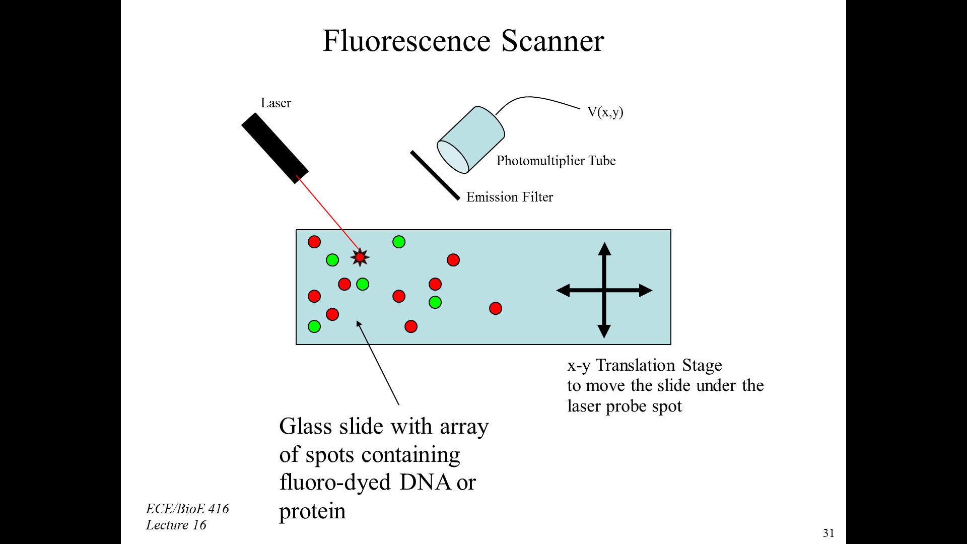 Fluorescence Scanner