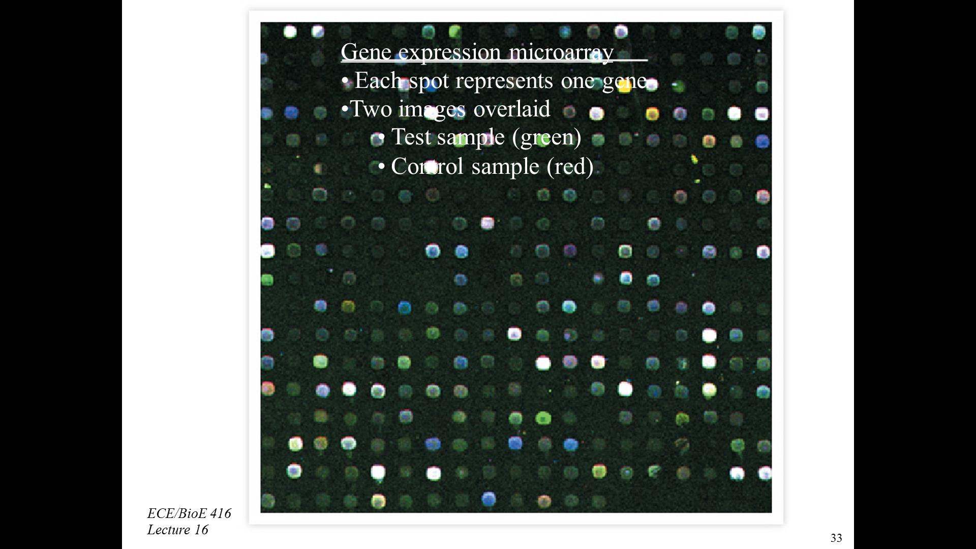 Gene expression microarray