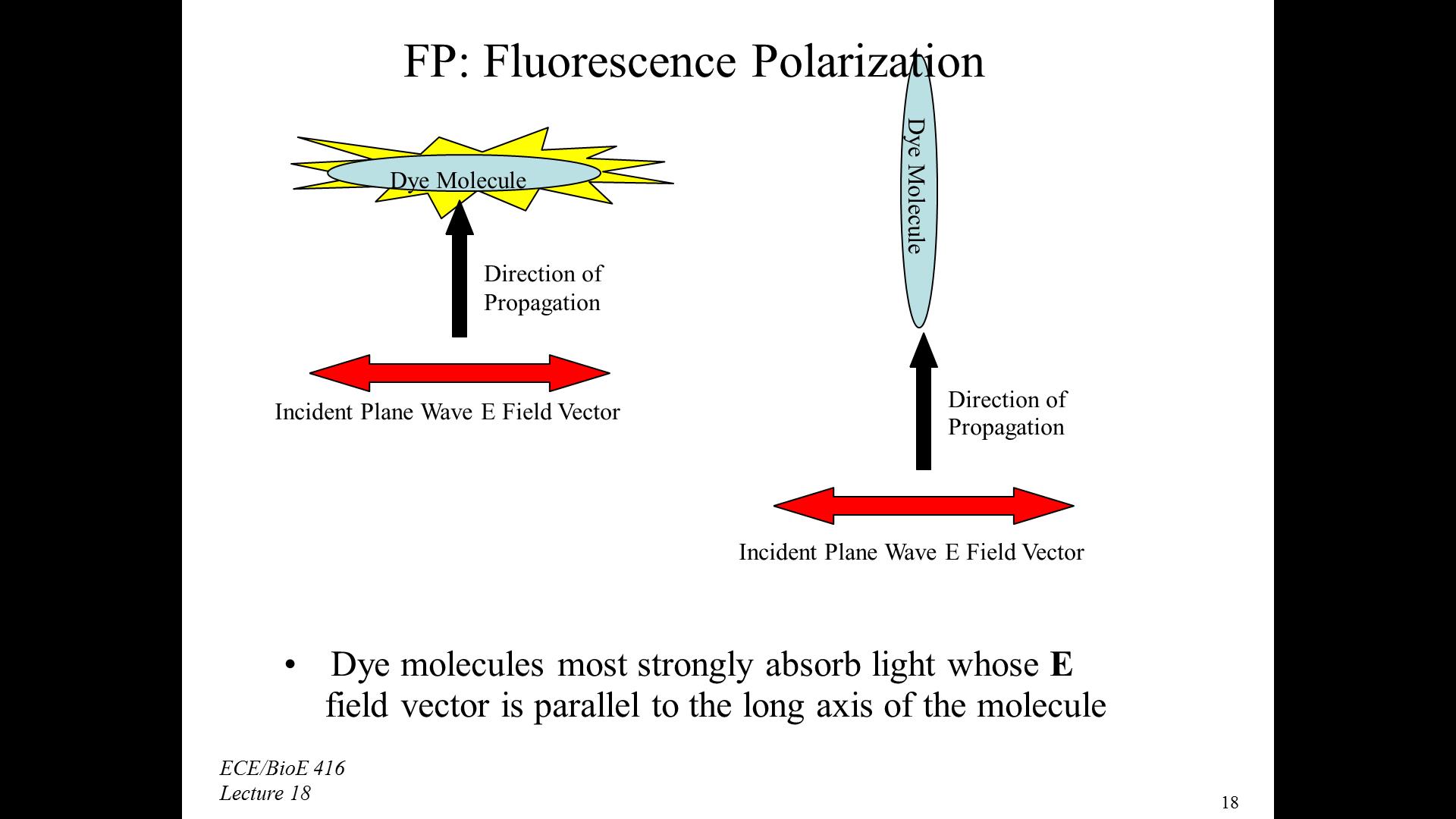 FP: Fluorescence Polarization