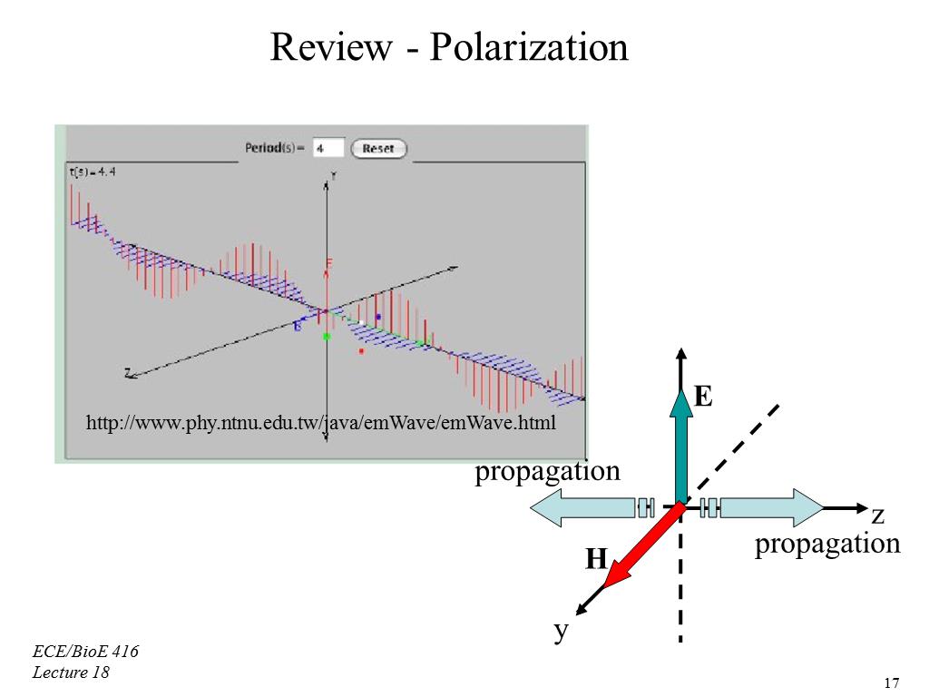 Review - Polarization