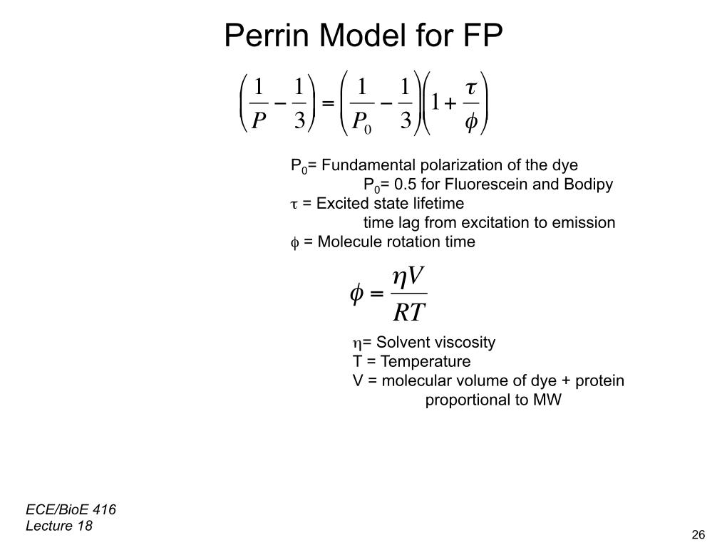 Perrin Model for FP
