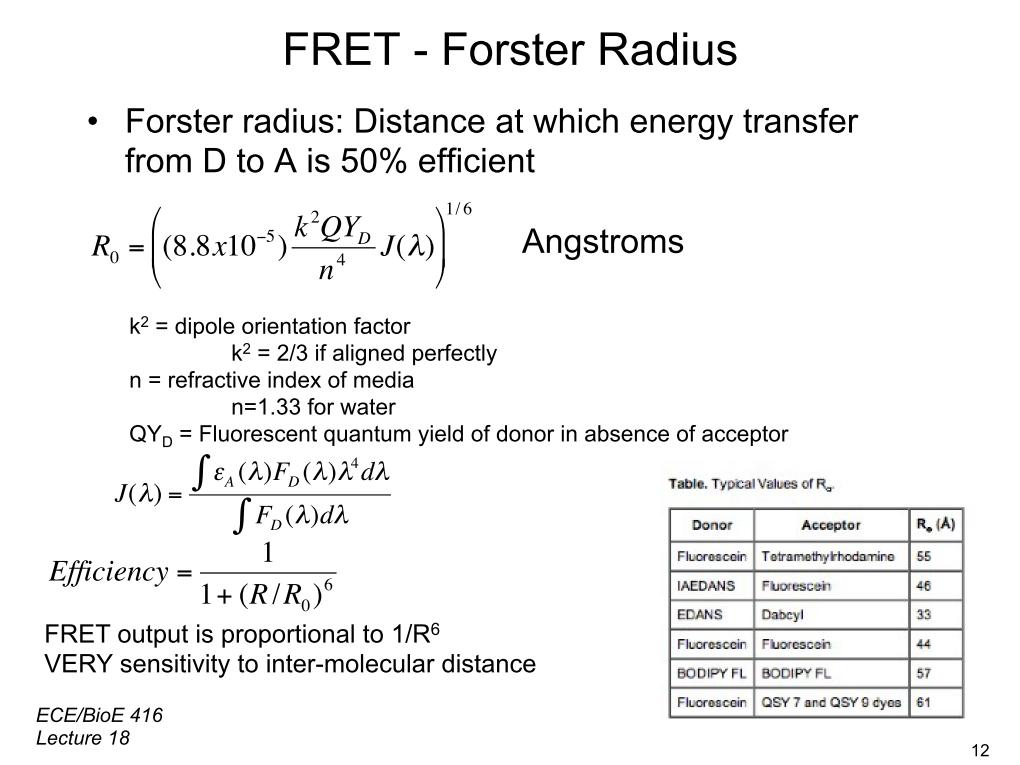 FRET - Forster Radius