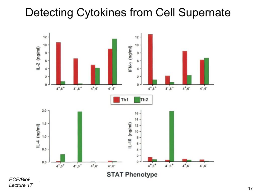 Detecting Cytokines from Cell Supernate
