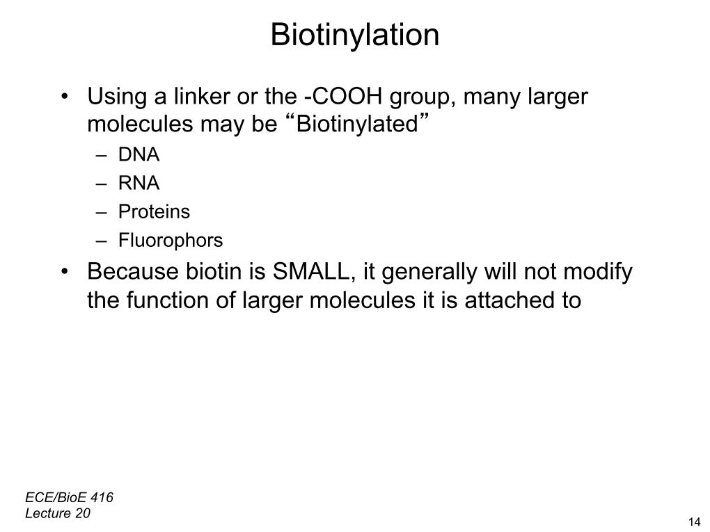 Biotinylation