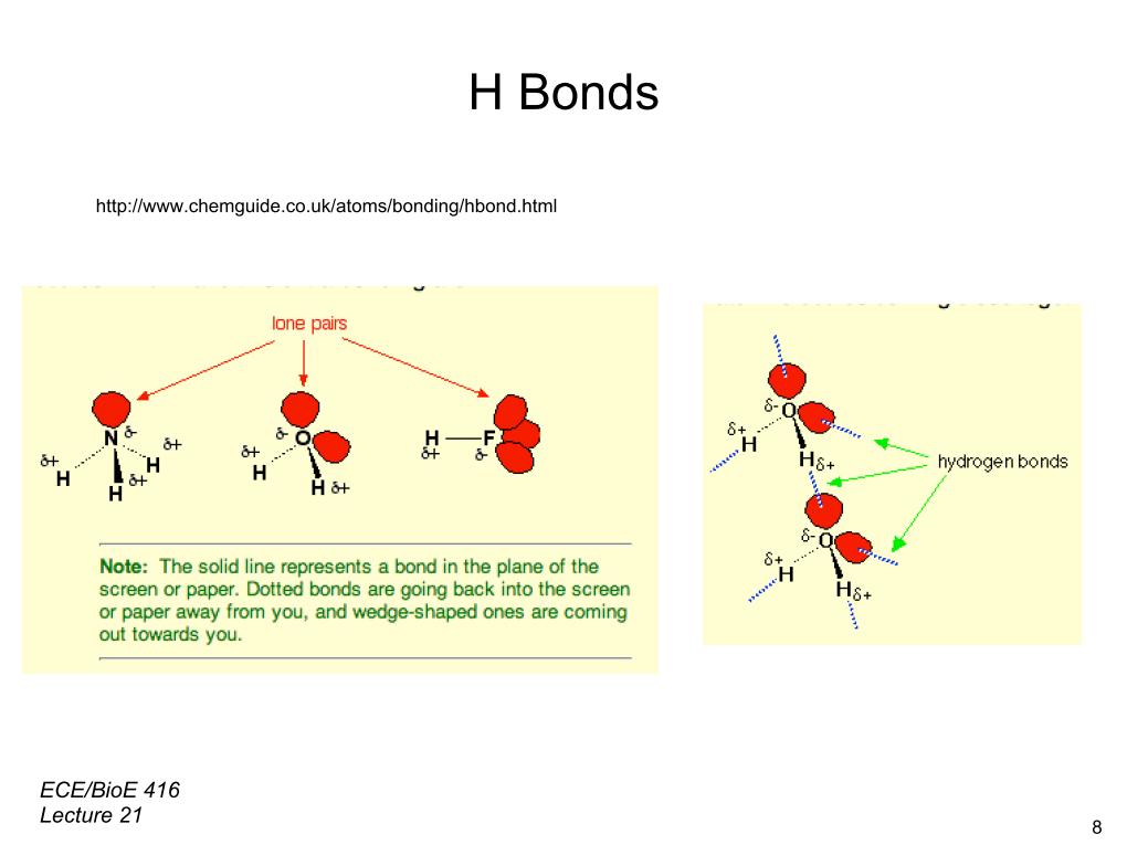H Bonds