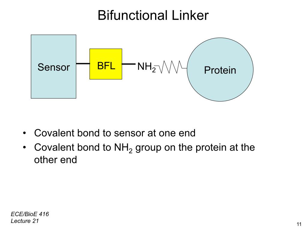 Bifunctional Linker