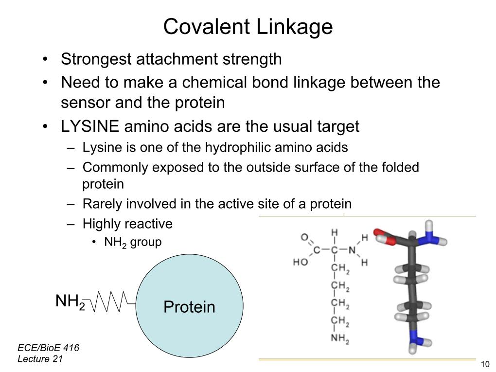 Covalent Linkage