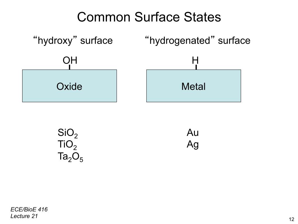 Common Surface States