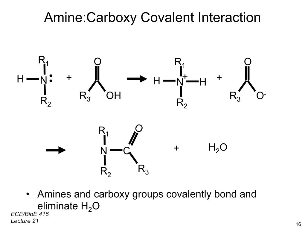 Amine:Carboxy Covalent Interaction