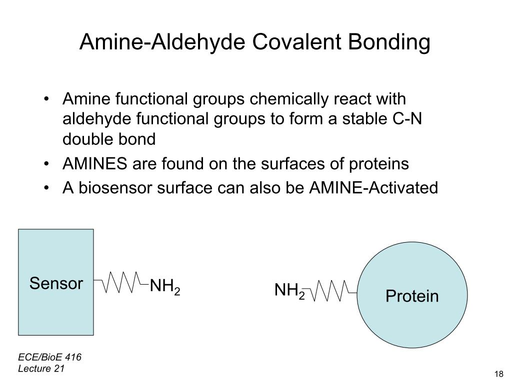 Amine-Aldehyde Covalent Bonding