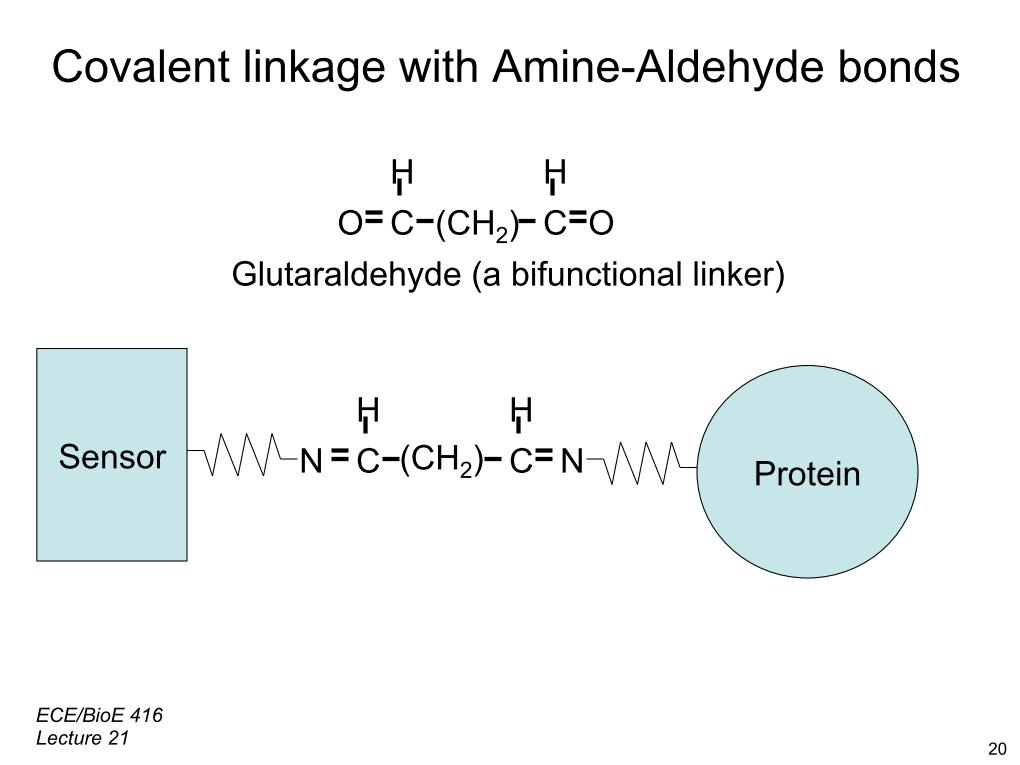 Covalent linkage with Amine-Aldehyde bonds