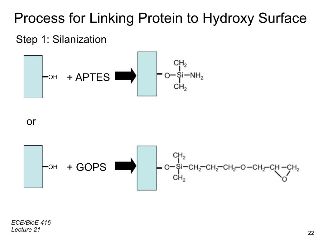 Process for Linking Protein to Hydroxy Surface Step 1: Silanization
