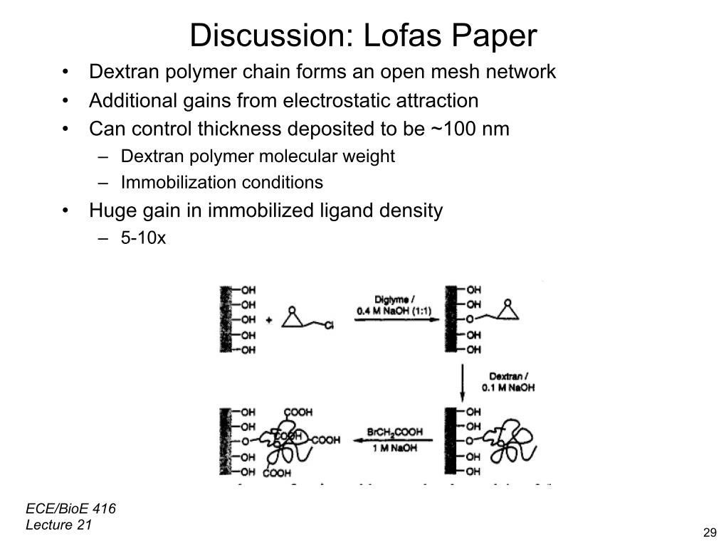 Discussion: Lofas Paper