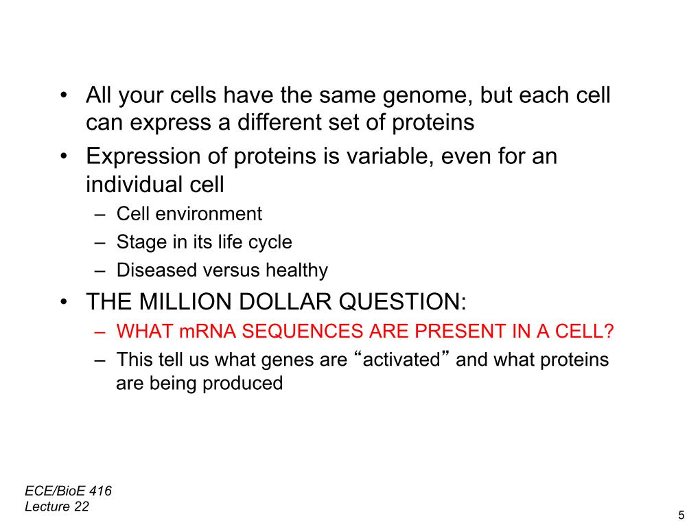 •  All your cells have the same genome, but each cell can express a different set of proteins •  Expression of proteins is variable, even for an individual cell –  Cell environment –  Stage in its life cycle –  Diseased versus healthy •  THE MILLION DOLLAR QUESTION: –  WHAT mRNA SEQUENCES ARE PRESENT IN A CELL? –  This tell us what genes are 
