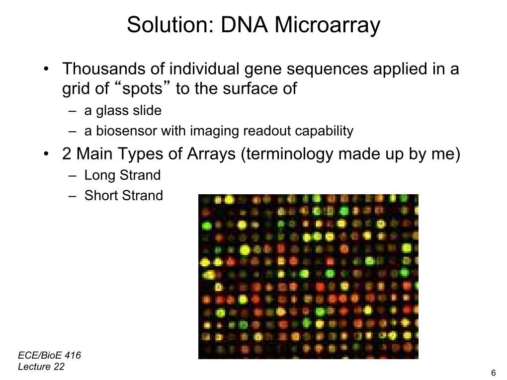 Solution: DNA Microarray •  Thousands of individual gene sequences applied in a grid of 