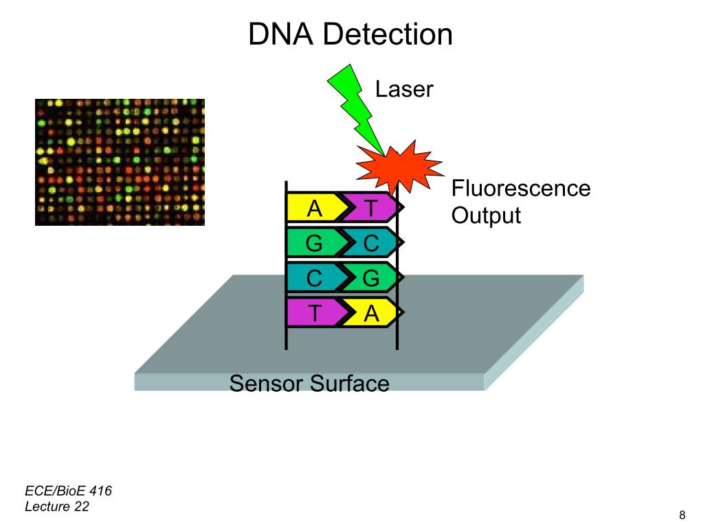DNA Detection Laser