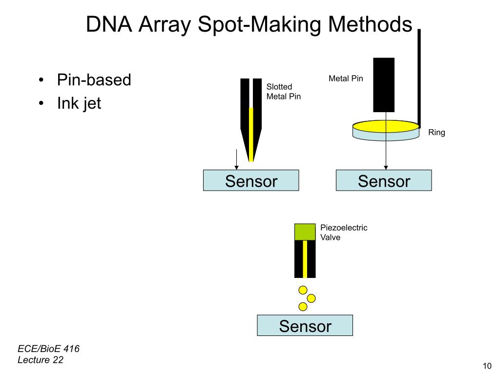 DNA Array Spot-Making Methods