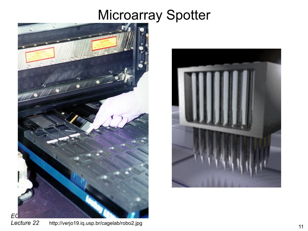Microarray Spotter
