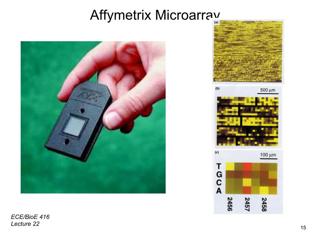 Affymetrix Microarray