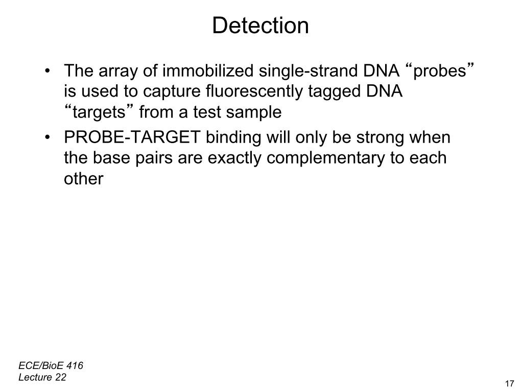 Detection •  The array of immobilized single-strand DNA 