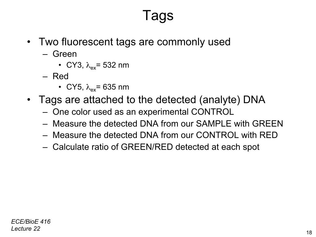 Tags •  Two fluorescent tags are commonly used –  Green •  CY3, λex= 532 nm –  Red •  CY5, λex= 635 nm •  Tags are attached to the detected (analyte) DNA