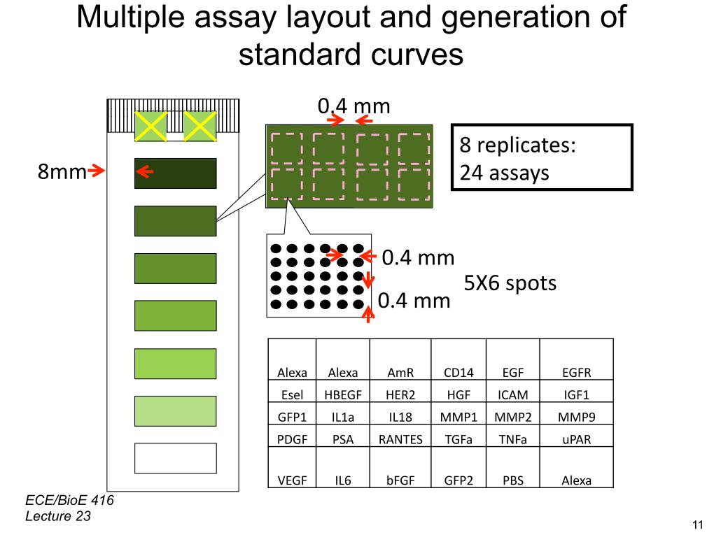 Multiple assay layout and generation of standard curves