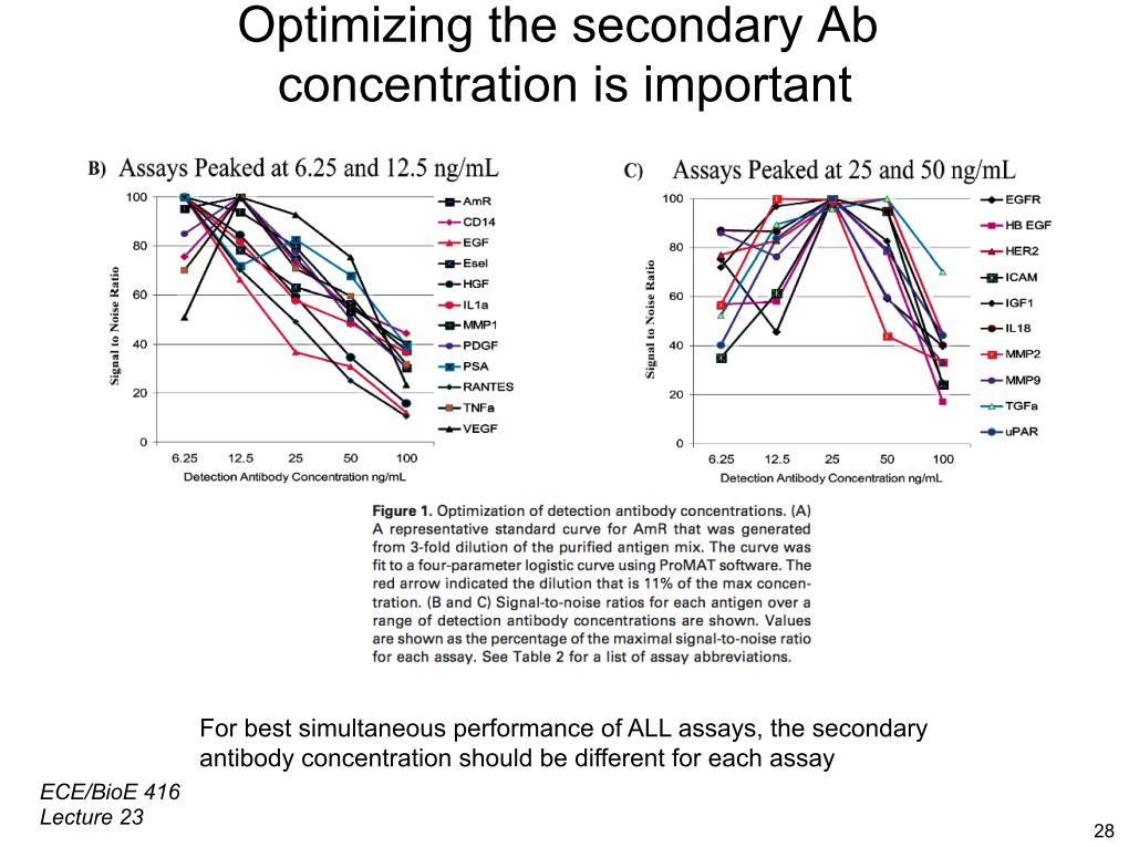 Optimizing the secondary Ab concentration is important
