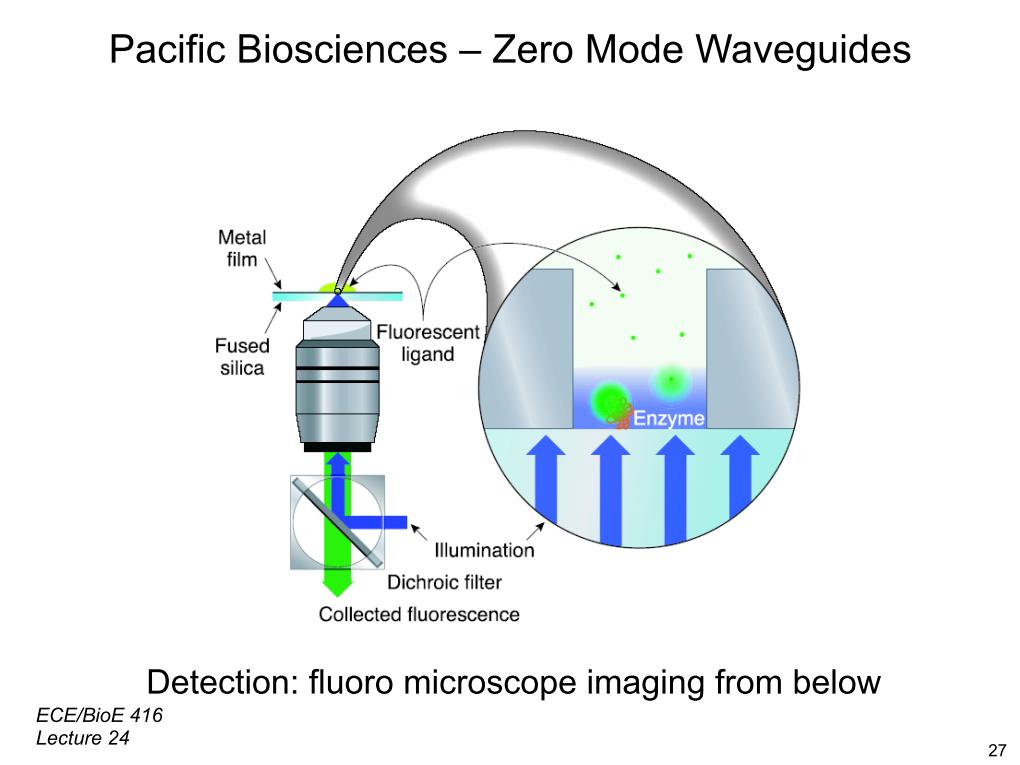 Pacific Biosciences