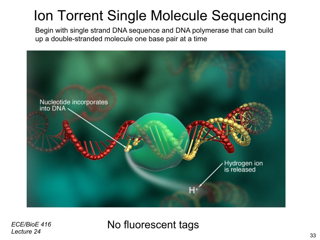 Ion Torrent Single Molecule Sequencing