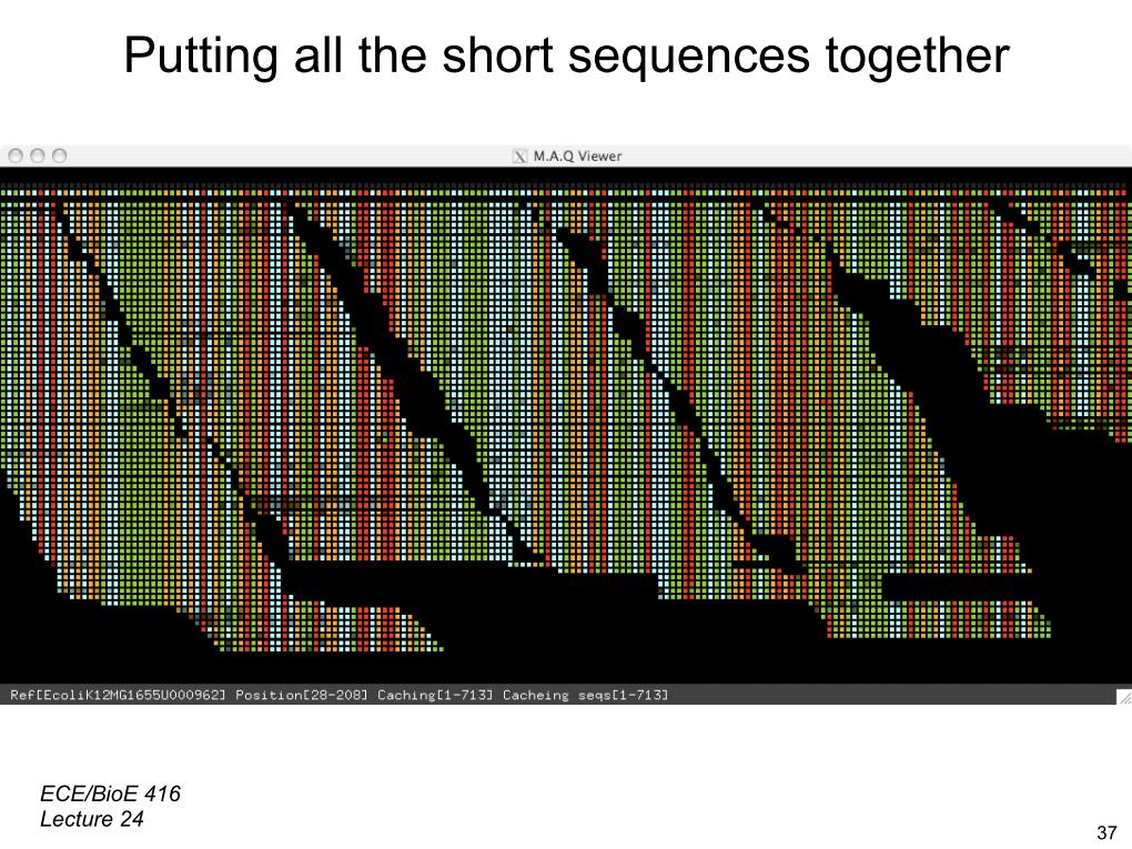 Putting all the short sequences together