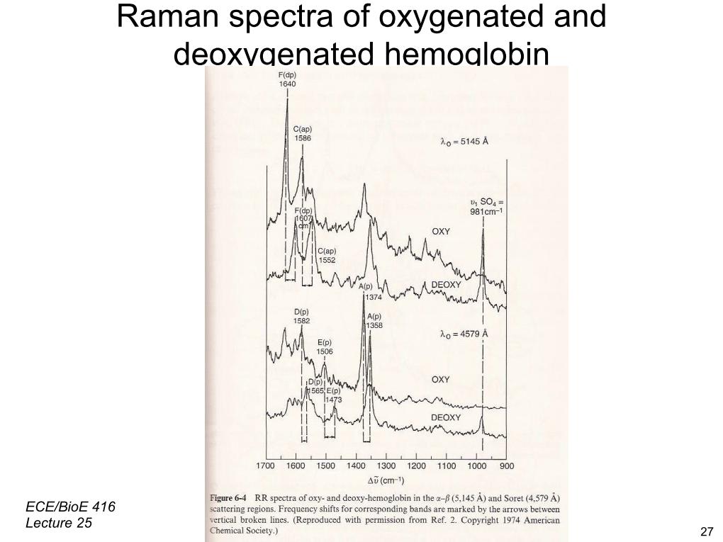 Raman spectra of oxygenated and deoxygenated hemoglobin