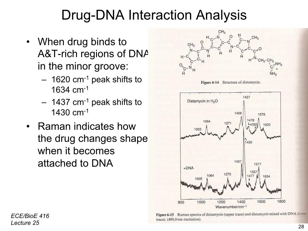 Drug-DNA Interaction Analysis
