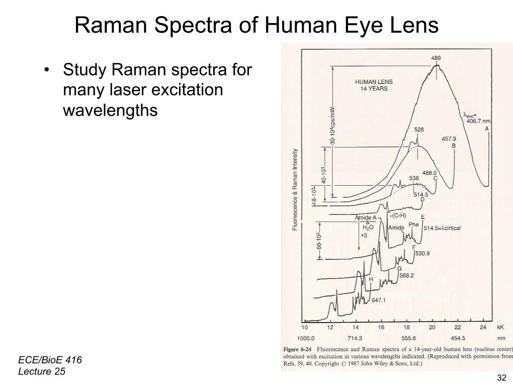 Raman Spectra of Human Eye Lens