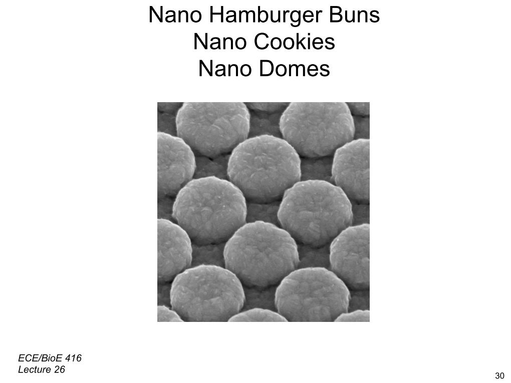 Nano Hamburger Buns - Nano Cookies - Nanodomes